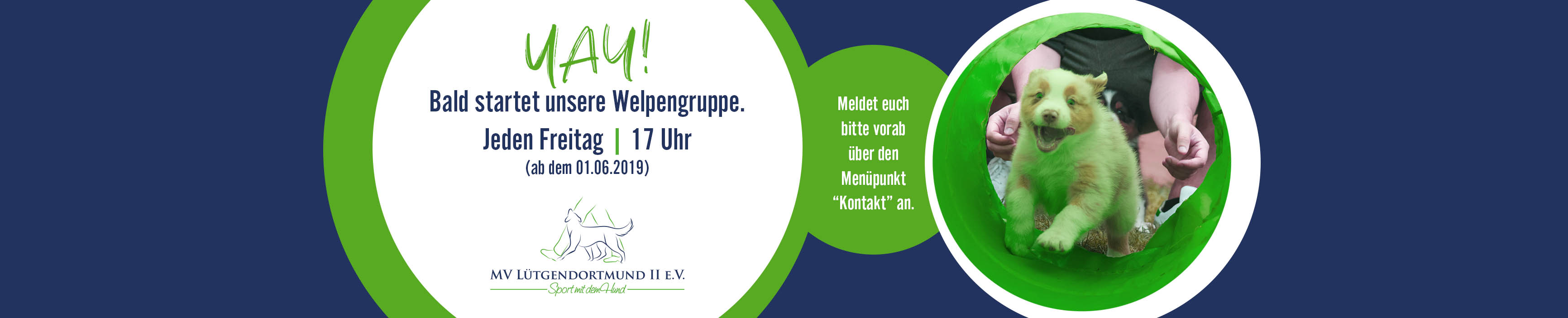 luedo2_slider_welpengruppe